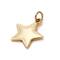 12 Pack: Charmalong™ 14K Gold Plated Star Charm by Bead Landing™